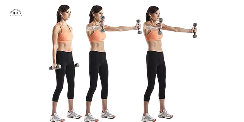 bai-tap-gym-cho-bap-tay-thon-gon.jpg