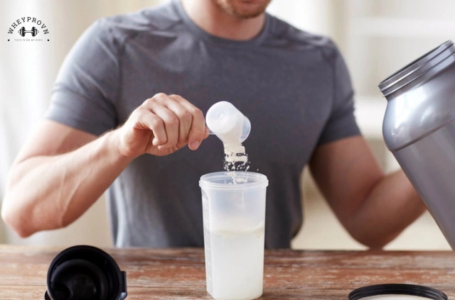 Whey Isolate là một trong những loại protein bổ sung phổ biến nhất hiện nay
