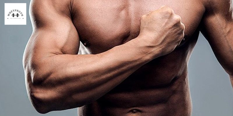 Cách Tập Lên Gân Tay