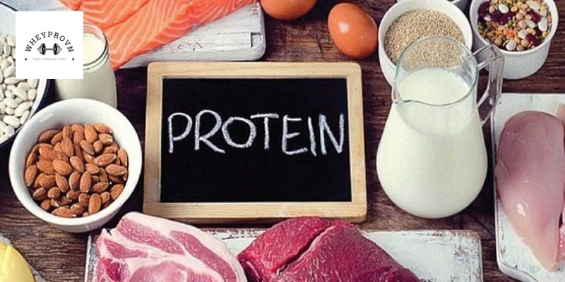 protein