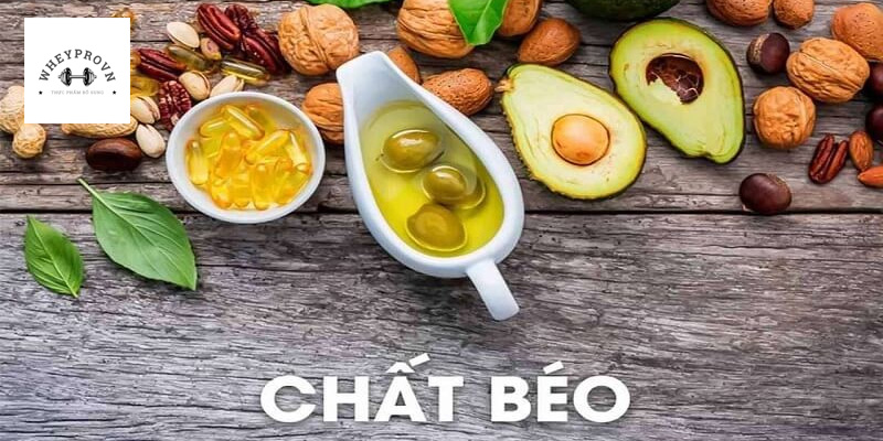thuc-pham-chat-beo