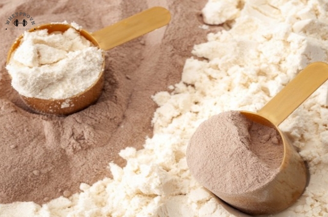 Whey Blend là một trong nhiều loại whay có mặt trên thị trường